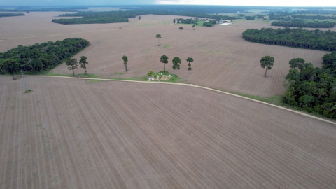 Amérique Latine : The Killing Fields