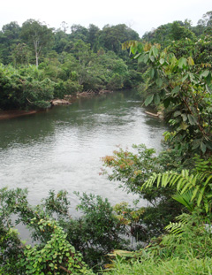Equateur : Correa met en danger son initiative pour protéger la biodiversité