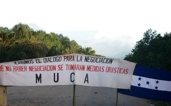 Honduras : Les palmiers ensanglantés (interview)