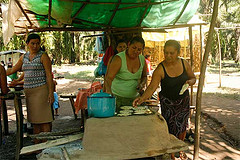 Honduras :  “les palmiers nous ont sauvés des balles”
