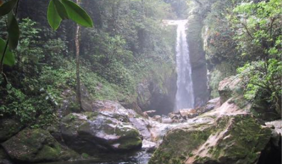 Honduras : 107 zones naturelles protégées menacées par les entreprises