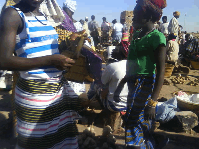 Analyse de la crise malienne