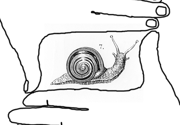 Primitivi en vadrouille