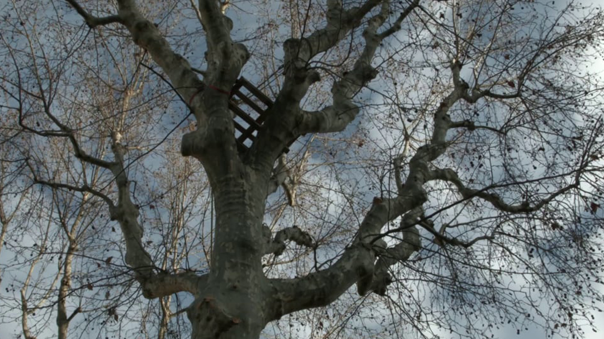 Brève histoire d&rsquo;une ZAD