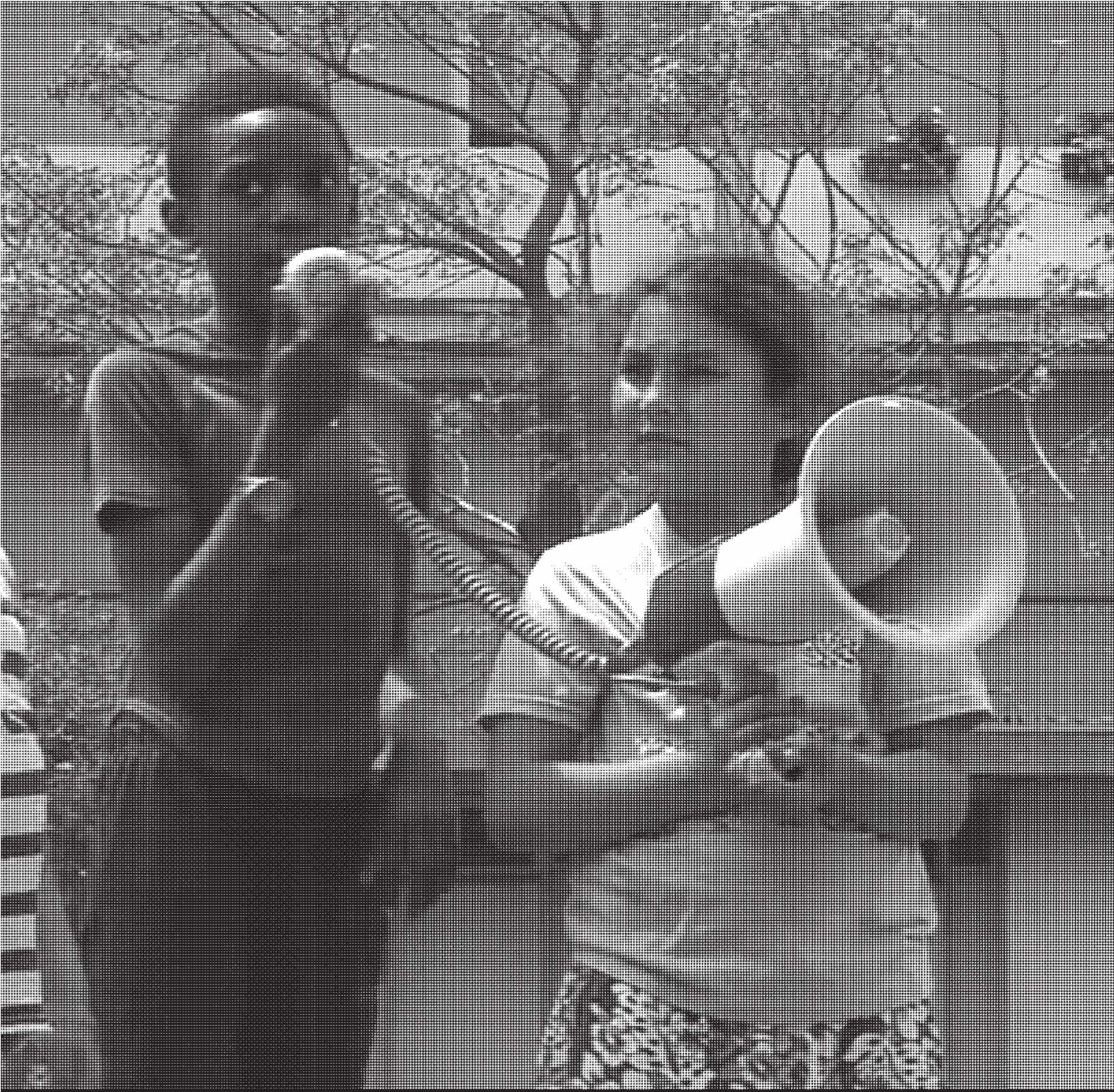 Primitivi invité par l&rsquo;Ambassade du Turfu