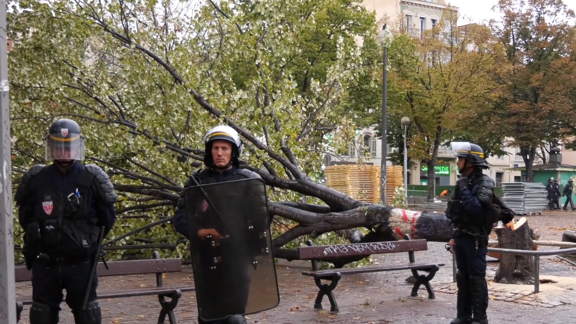 #6 la Plaine pleure ses arbres