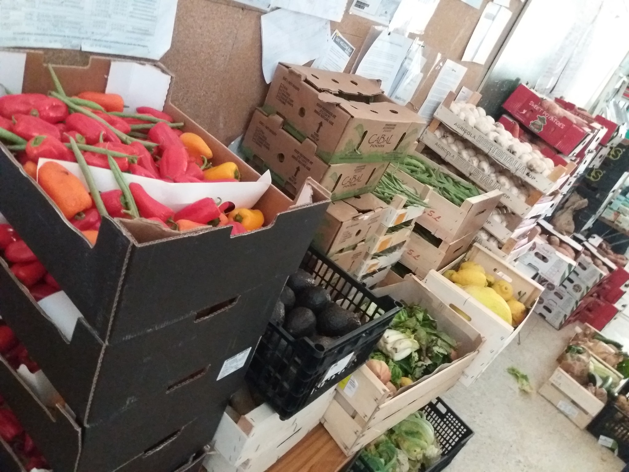 Distribution solidaire au Manba