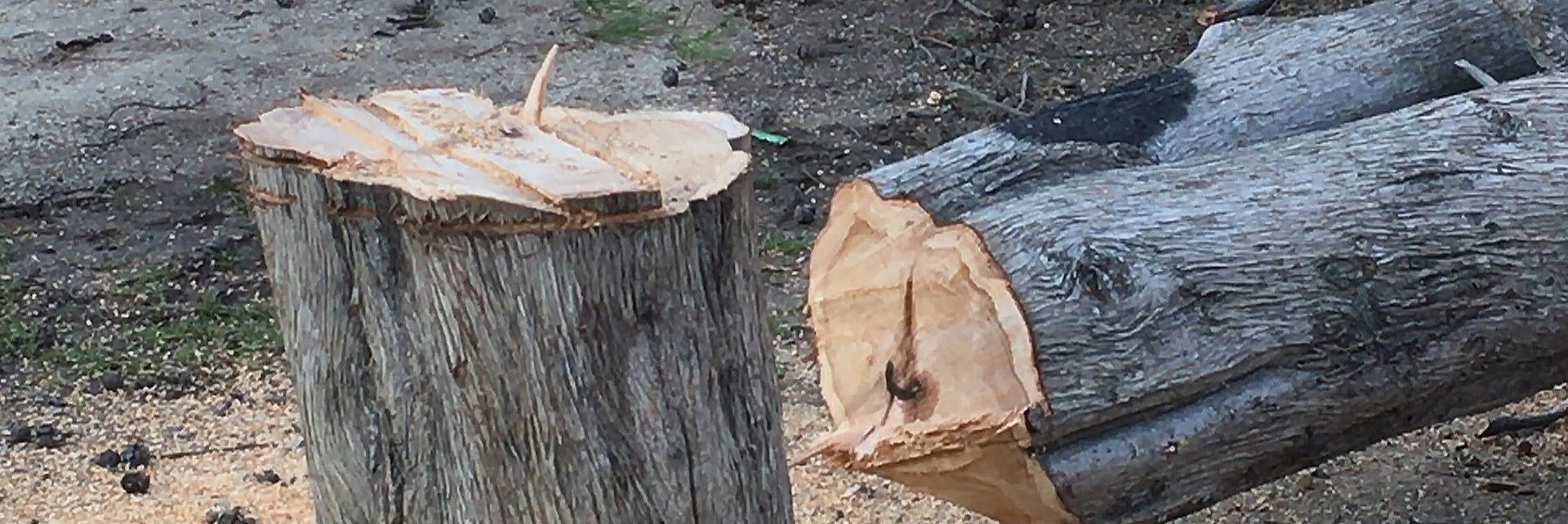 Porte d&rsquo;Aix : arrêtez le massacre !