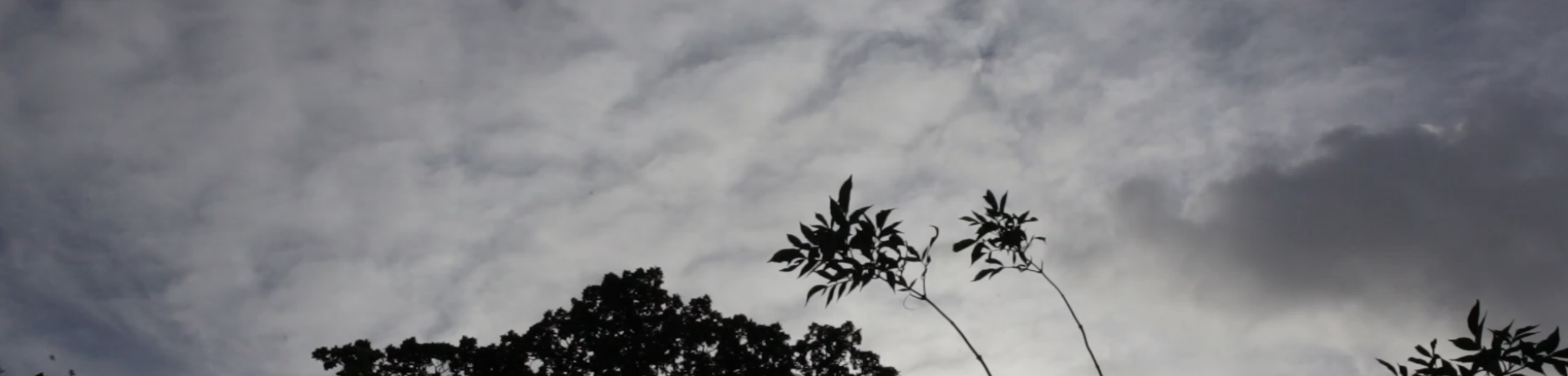 Une enquête radiophonique sur les usages populaires du jardin Levat