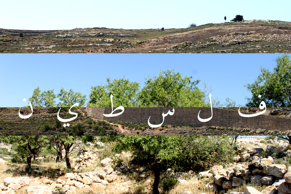 ARCHIVE – Stratégie Agricole en Palestine