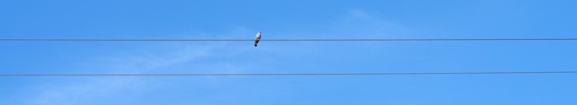 Un lever de soleil chez Amazon